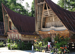 Original Batak houses