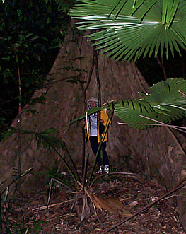 Kirsten at the foot of a large teak