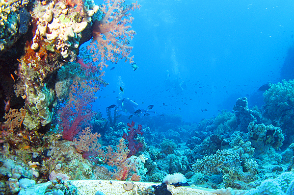 Waterscape