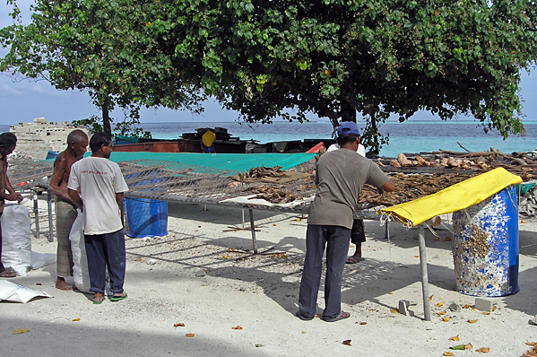 Preparing dried fish