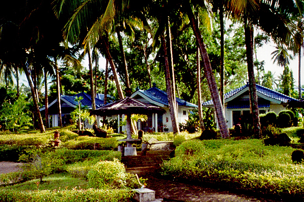 Our bungalows 