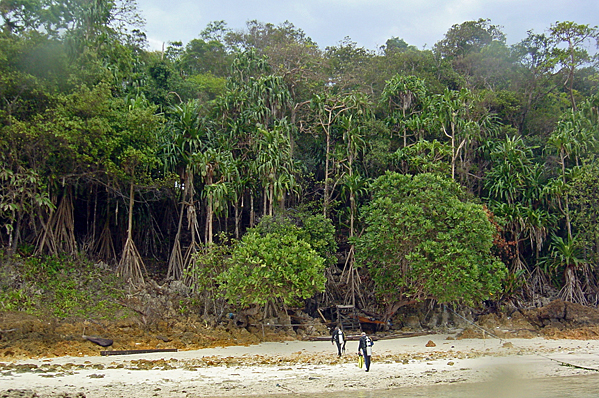 Kakaban Island at high tide