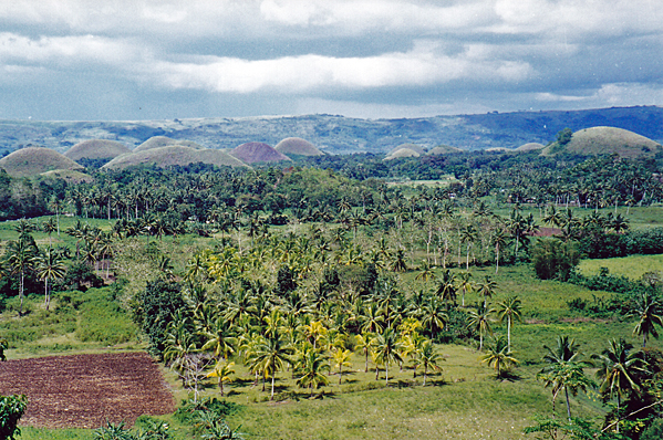 The fields of Chocolate Hills