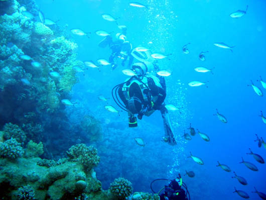 Red Sea fusiliers and divers 