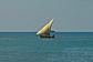 A lonely dhow
